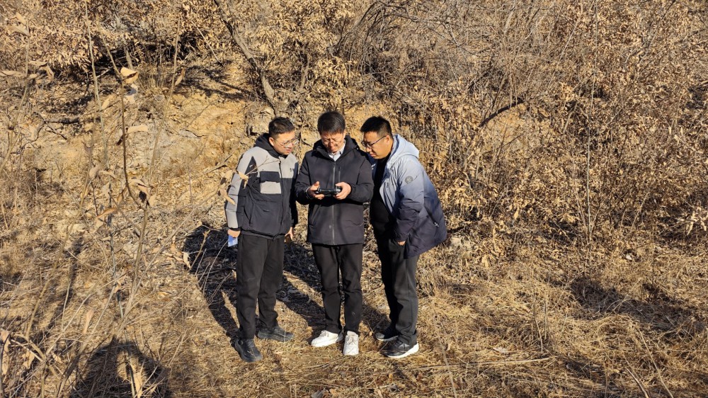 示范区地质公园保护中心完成了王屋山-云台山国家级风景名胜区2025第二批次卫星图斑核查工作